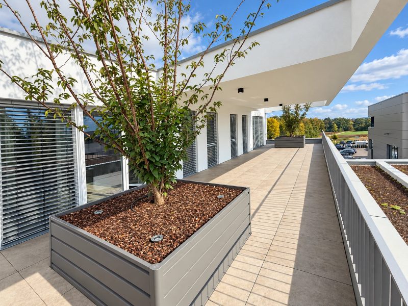 Dachterrasse des DEA Business Center in Aichtal mit Bäumen in Pflanzkästen und Blick ins Grüne